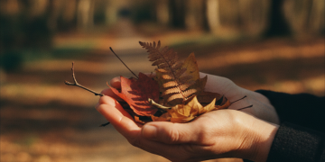 auto-cycle-menstruel-deregie-automne-troubles-hormonaux-1790302072231.png