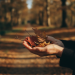 auto-cycle-menstruel-deregie-automne-troubles-hormonaux-1790302072231.png